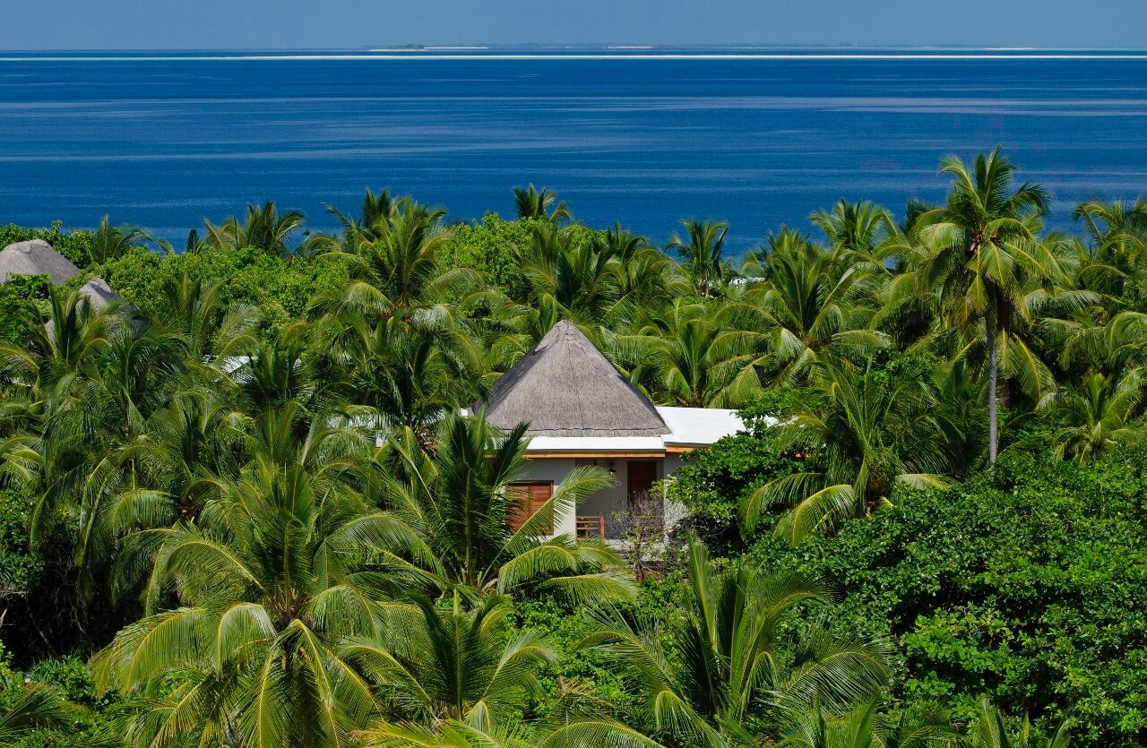 tree house maldives
