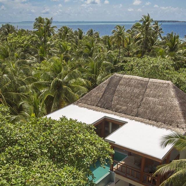 tree house aerial view