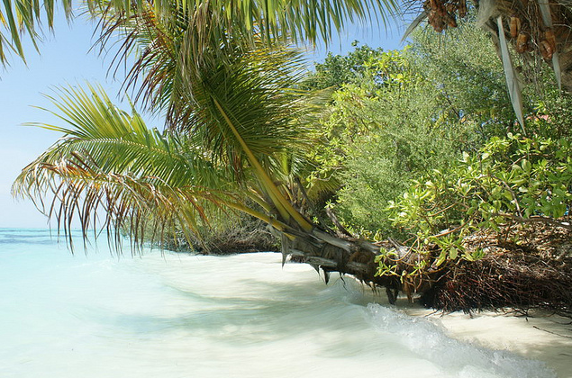 maldives beach erosion