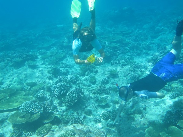 lux maldives reef