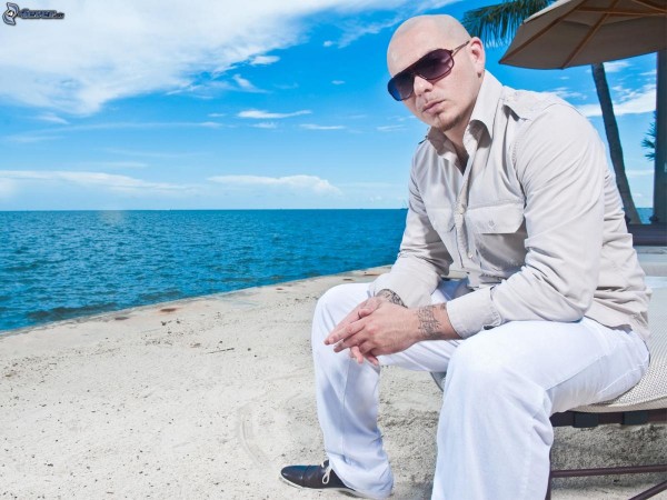 pitbull maldives