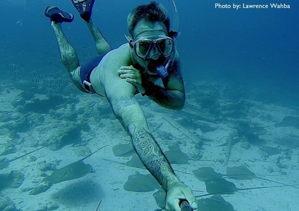 stingrays
