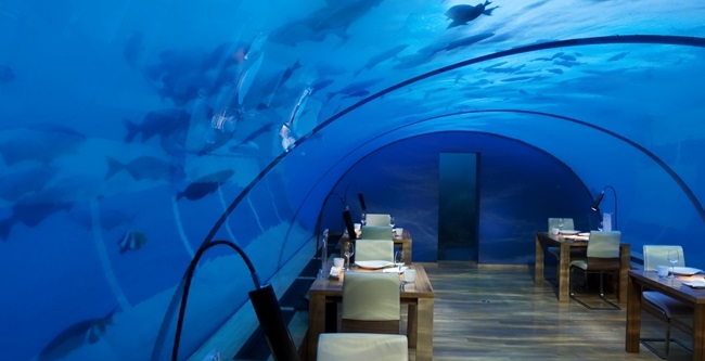 underwater restaurant maldives