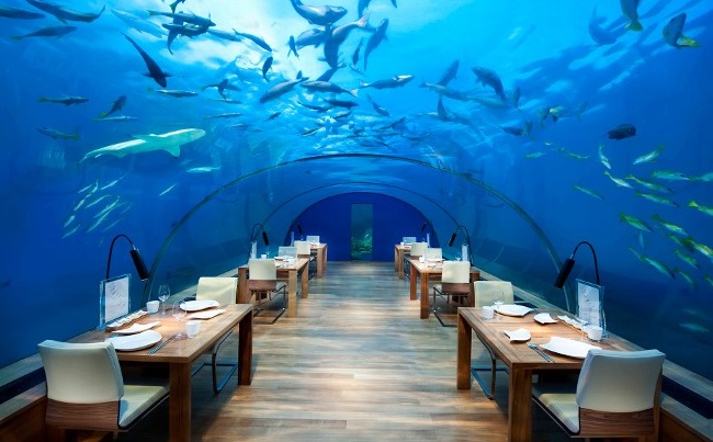 ithaa underwater restaurant