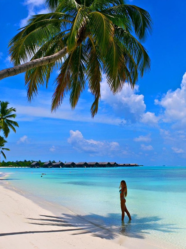 renee somerfield maldives