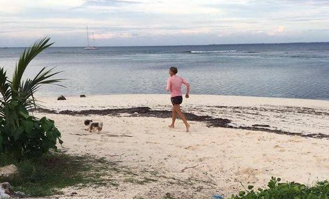 dog in maldives