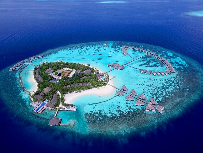 maldives special offer
