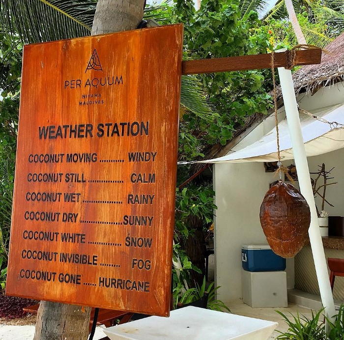 coconut weather
