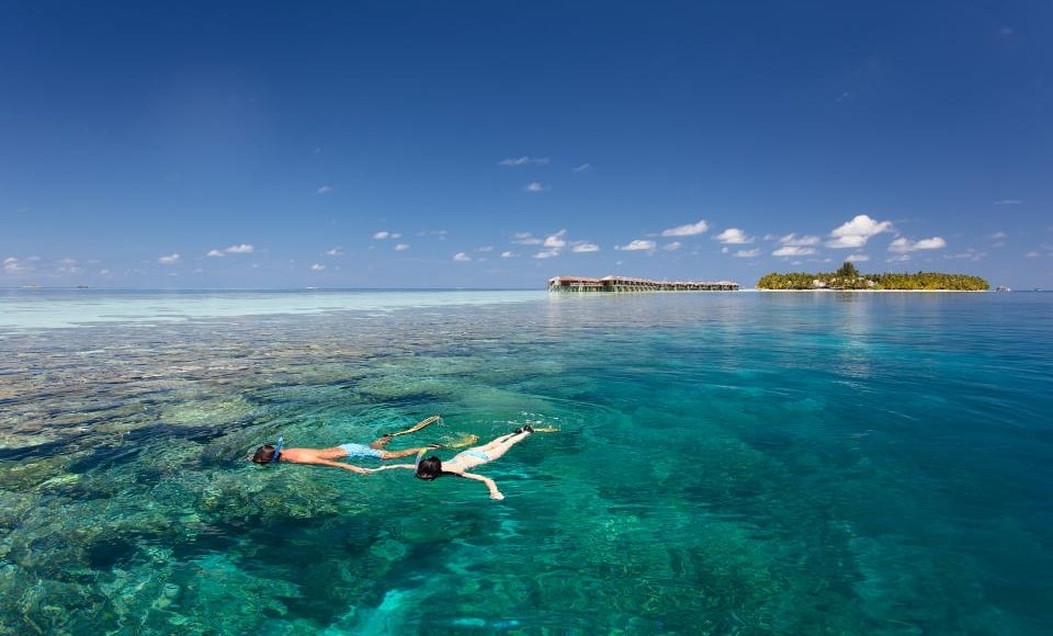 vilamendhoo snorkeling 2