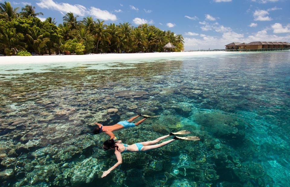 vilamendhoo snorkeling