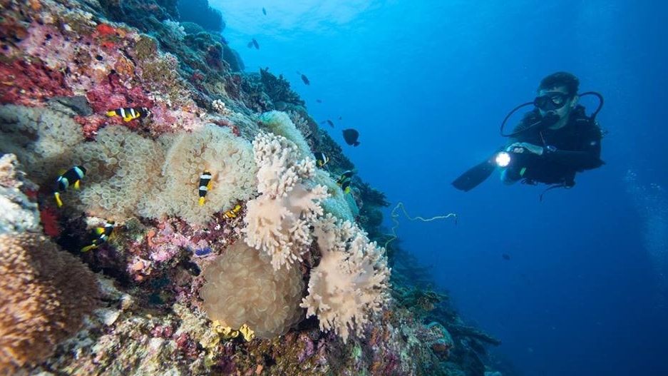 My First Scuba Diving Experience. It's in Maldives.