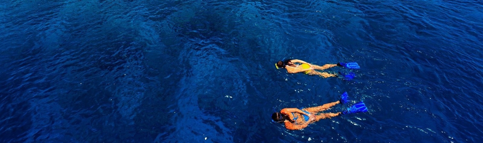 snorkeling-banner