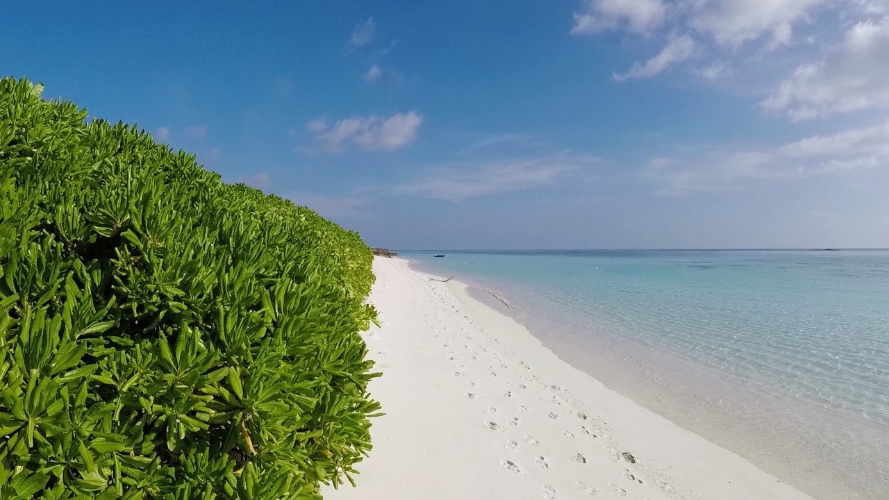 thoddoo sea view